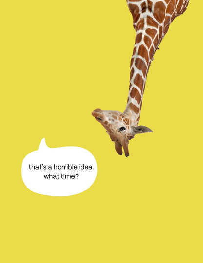 Carlos-kirahvi postikortti That's a horrible idea. What time?