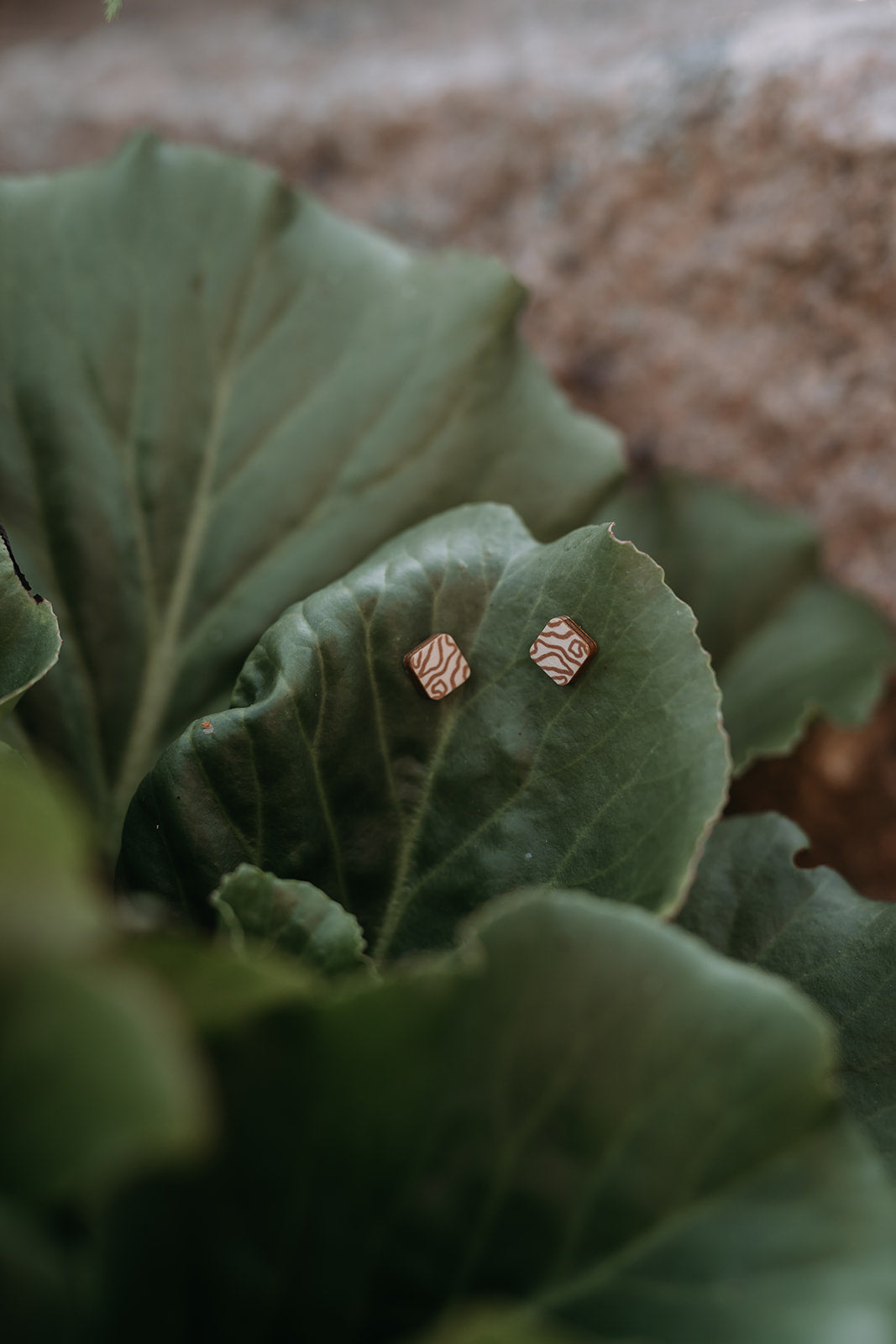 Nature Nuggets stud earrings - IVAN